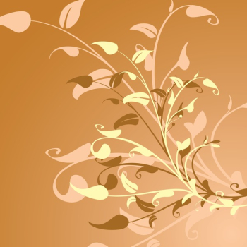 Flower Decoration Background Flower Decoration Background
