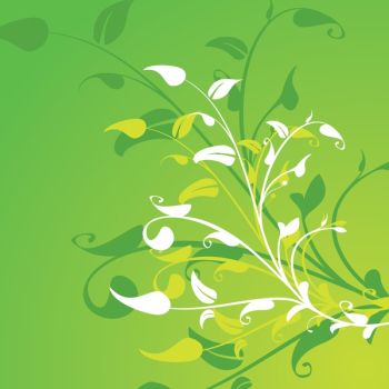 Flower Decoration Background Flower Decoration Background
