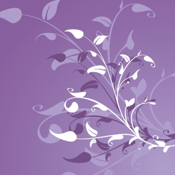 Flower Decoration Background Flower Decoration Background