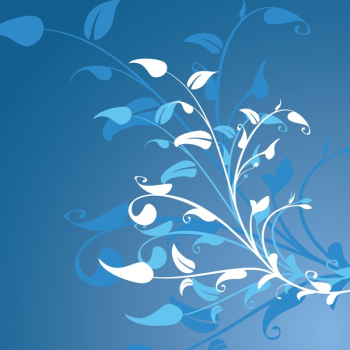 Flower Decoration Background Flower Decoration Background