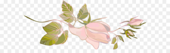 Flower decoration picture Flower decoration picture