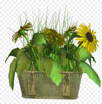 Flower Download - flower bed Flower Download - flower bed