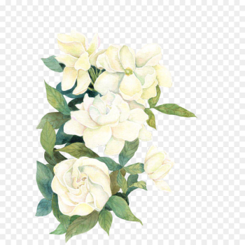 Flower Download If(we) - flower 