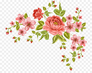 Flower Drawing - flower Flower Drawing - flower