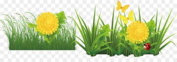 Flower Drawing - Flower flat Flower Drawing - Flower flat