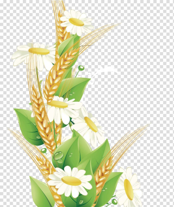 Flower Drawing Line art, Wheat Border transparent background PNG clipart