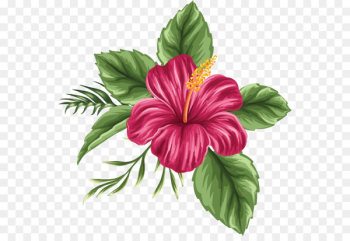 Flower Drawing Tropics Clip art - Hawaii flower Flower Drawing Tropics Clip art - Hawaii flower