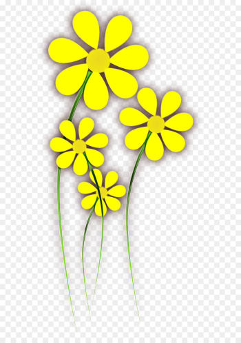 Flower, Drawing, Wildflower, Yellow PNG