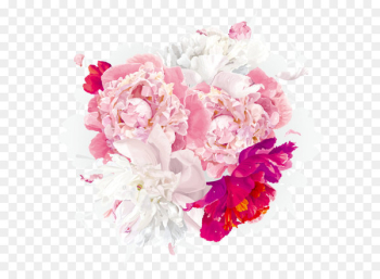 Flower Euclidean vector Clip art - Fantasy HD peony free downloads 