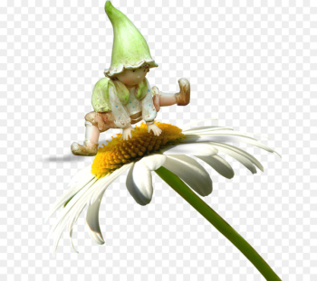 Flower Fairy Cartoon - Cute Flower Fairy Flower Fairy Cartoon - Cute Flower Fairy