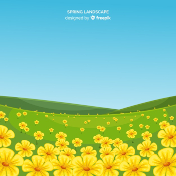 Flower field spring landscape Flower field spring landscape