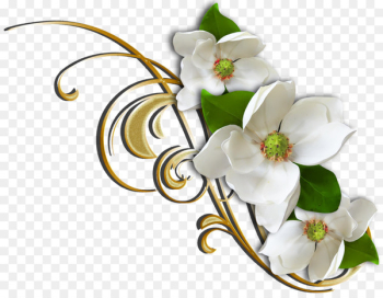 Flower Floral design Clip art - flower Flower Floral design Clip art - flower