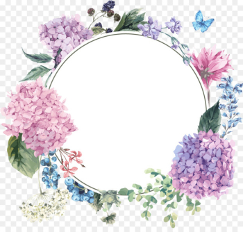 Flower Floral design Drawing Watercolor painting Wreath - hydrangea border 