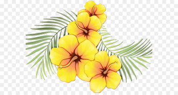 Flower, Floral Design, Flower Bouquet, Frangipani, Hawaiian Hibiscus PNG