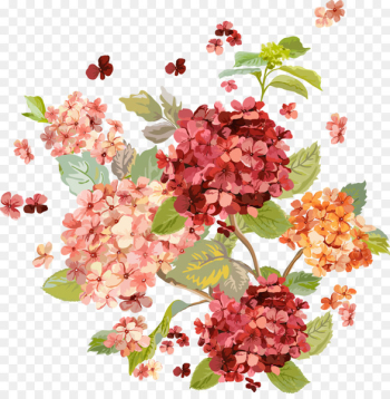 Flower Floral design Illustration Image - flower 