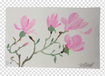 Flower Floral design Petal Cherry blossom, watercolor pink magnolia flower transparent background PNG clipart