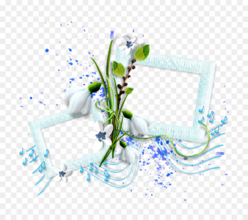 Flower Floral design Photography Image - flower Flower Floral design Photography Image - flower