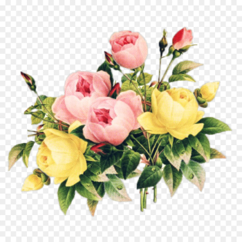 Flower, Floral Design, Vintage Clothing, Flowering Plant PNG Flower, Floral Design, Vintage Clothing, Flowering Plant PNG