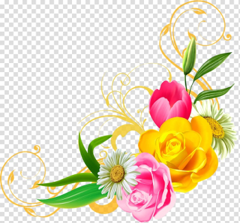 Flower , flower borders transparent background PNG clipart