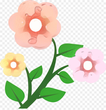 Flower, Flower Bouquet, Pink Flowers, Pink PNG Flower, Flower Bouquet, Pink Flowers, Pink PNG