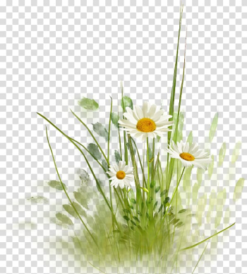 Flower , flower transparent background PNG clipart Flower , flower transparent background PNG clipart