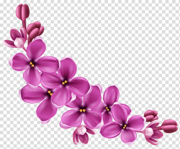 Flower , flower transparent background PNG clipart