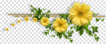 Flower, flower transparent background PNG clipart Flower, flower transparent background PNG clipart