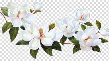Flower , flower transparent background PNG clipart Flower , flower transparent background PNG clipart