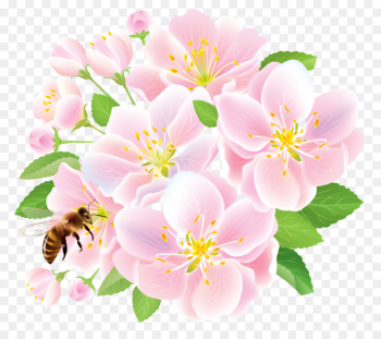 flower flowering plant petal pink plant flower flowering plant petal pink plant