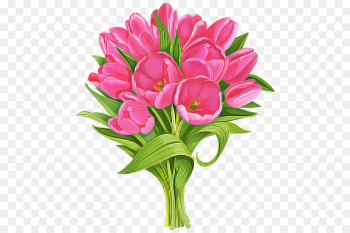 flower flowering plant plant cut flowers petal flower flowering plant plant cut flowers petal