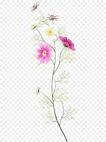 flower flowering plant plant pedicel petal flower flowering plant plant pedicel petal
