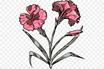 flower flowering plant plant petal pink flower flowering plant plant petal pink