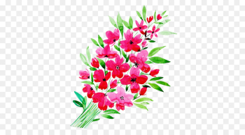 flower flowering plant plant pink cut flowers flower flowering plant plant pink cut flowers