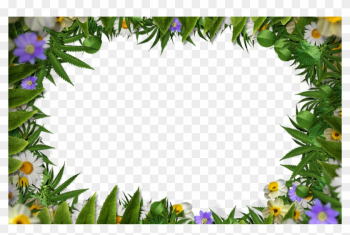 Flower Frame Border Png With Green Leaves Background - Spring Border Transparent Background