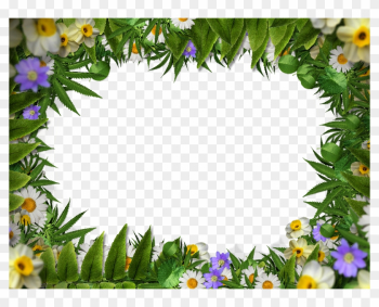 Flower Frame Border Png With Green Leaves Background - Transparent Background Leaf Border