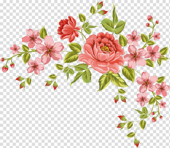 Flower Frames , peonies transparent background PNG clipart