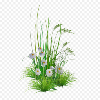 Flower garden Clip art - GARDEN Flower garden Clip art - GARDEN