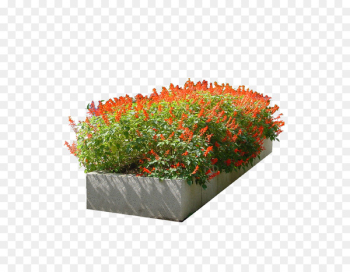 Flower Garden - flower bed Flower Garden - flower bed