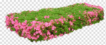 Flower garden Flower garden Gratis, GARDEN transparent background PNG clipart Flower garden Flower garden Gratis, GARDEN transparent background PNG clipart