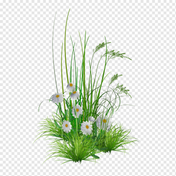 Flower garden, GARDEN, flower Arranging, artificial Flower, grass png