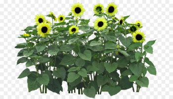 Flower garden Lighting Psd Clip art - flower tree 
