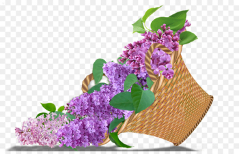 Flower Garden roses Blue rose Lilac Floral design - flower Flower Garden roses Blue rose Lilac Floral design - flower