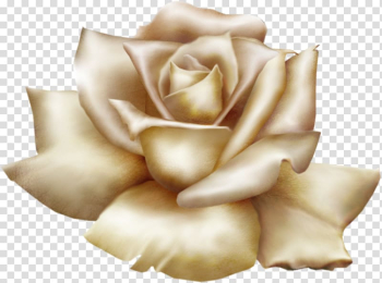 Flower Garden roses , GOLD ROSE transparent background PNG clipart Flower Garden roses , GOLD ROSE transparent background PNG clipart