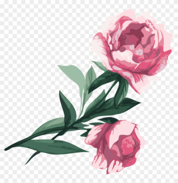 Flower Garden Roses Peony Clip Art - Garden Roses Flower Garden Roses Peony Clip Art - Garden Roses