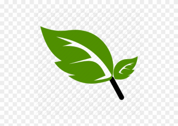 Flower, Green, Leaf, Natural, Nature Icon - Green Leaf Icon Png