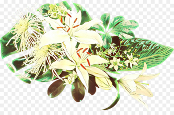 Flower, Herb, Plant PNG Flower, Herb, Plant PNG
