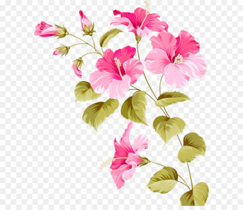 Flower Hibiscus Euclidean vector Plant - flowers Flower Hibiscus Euclidean vector Plant - flowers