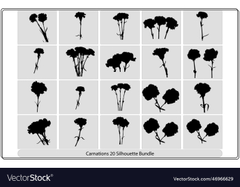 flower icon carnation silhouettes