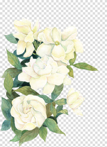 Flower If(we), flower, white flowers illustration transparent background PNG clipart Flower If(we), flower, white flowers illustration transparent background PNG clipart