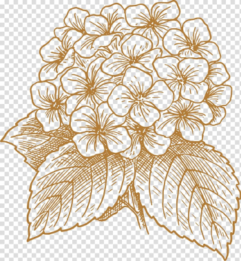 Flower illustration, French hydrangea Flower Drawing , Painted flowers transparent background PNG clipart